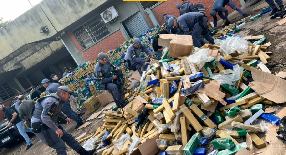 Operação conjunta apreende 4,3 toneladas de maconha no interior de São Paulo e causa prejuízo de R$ 8,6 milhões ao crime organizado